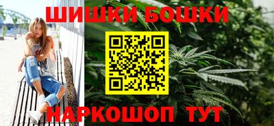 Альфа ПВП Обь