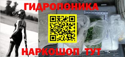 Альфа ПВП Обь