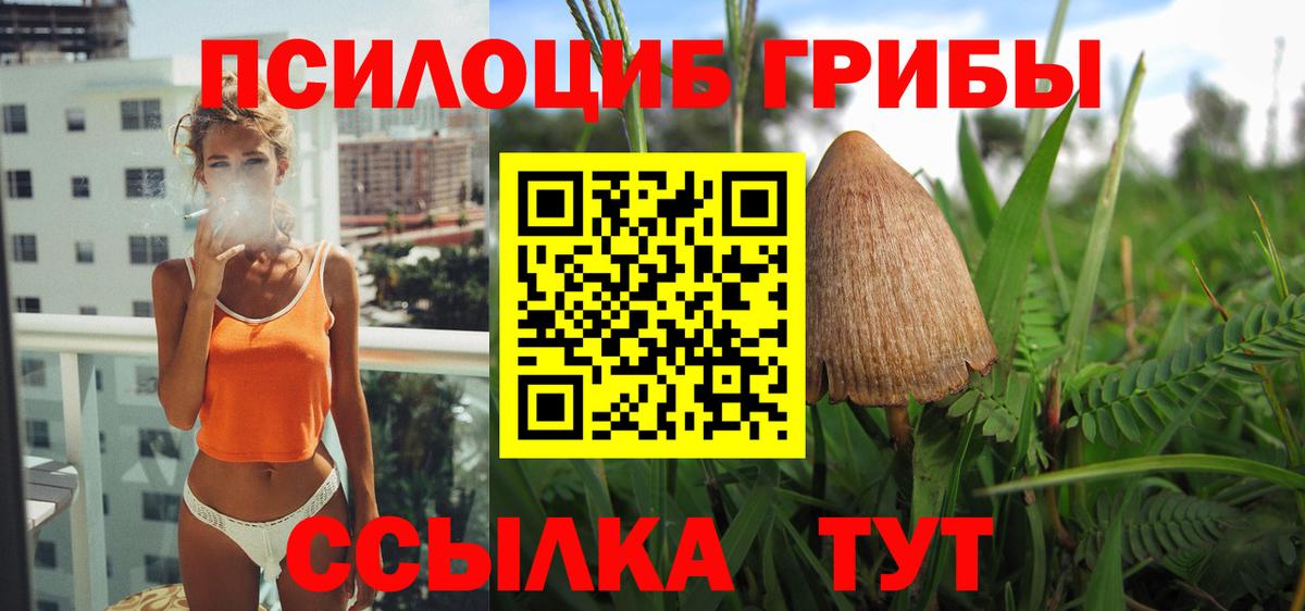 Галлюциногенные грибы прущие грибы Реутов