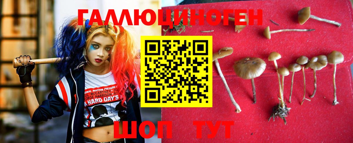 Реутов  Псилоцибиновые грибы Magic Shrooms  Галлюциногенные грибы прущие грибы  Вход с VPN 